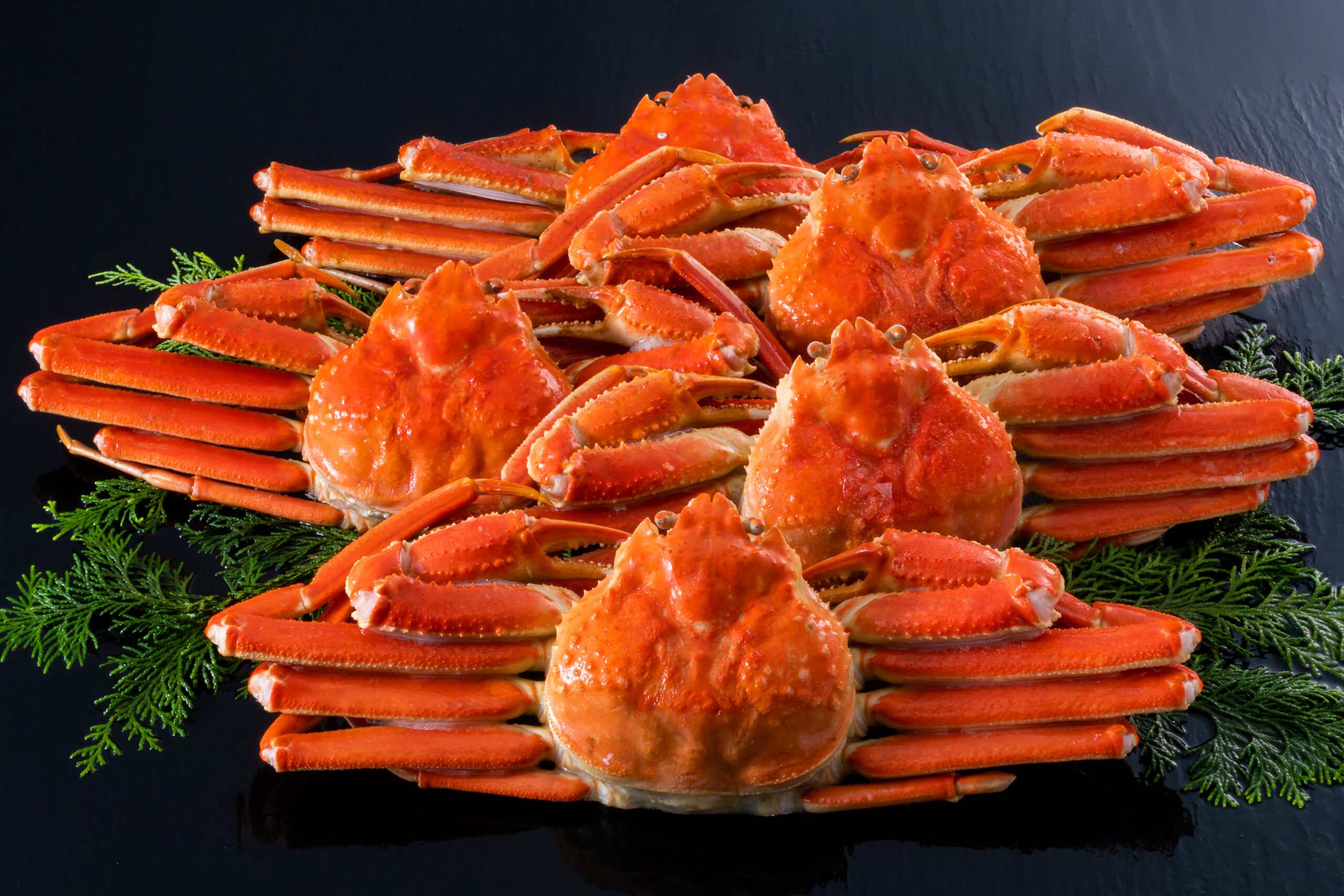 ボイルずわい姿01