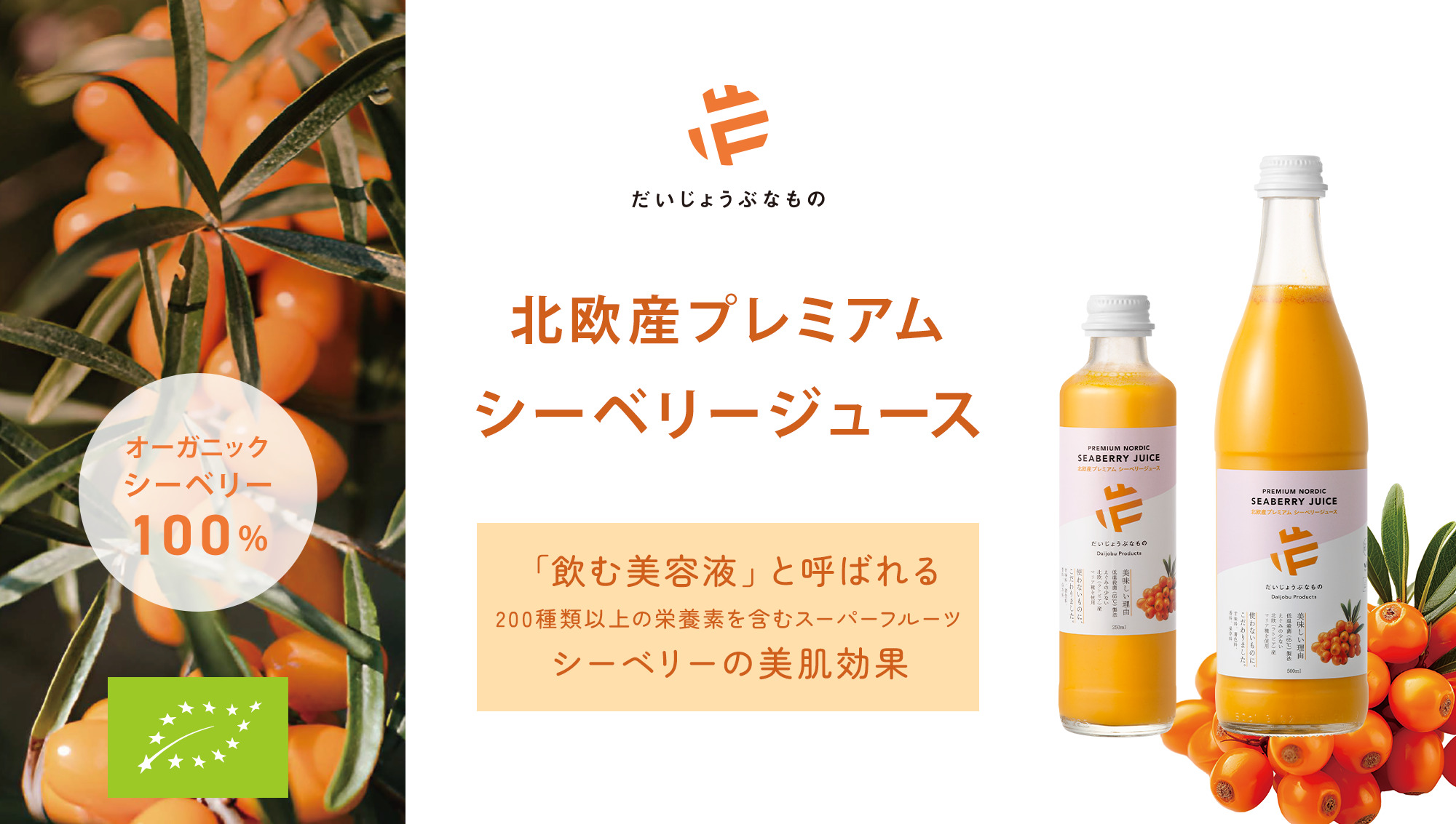 250521_seaberry_pc_2000_1133