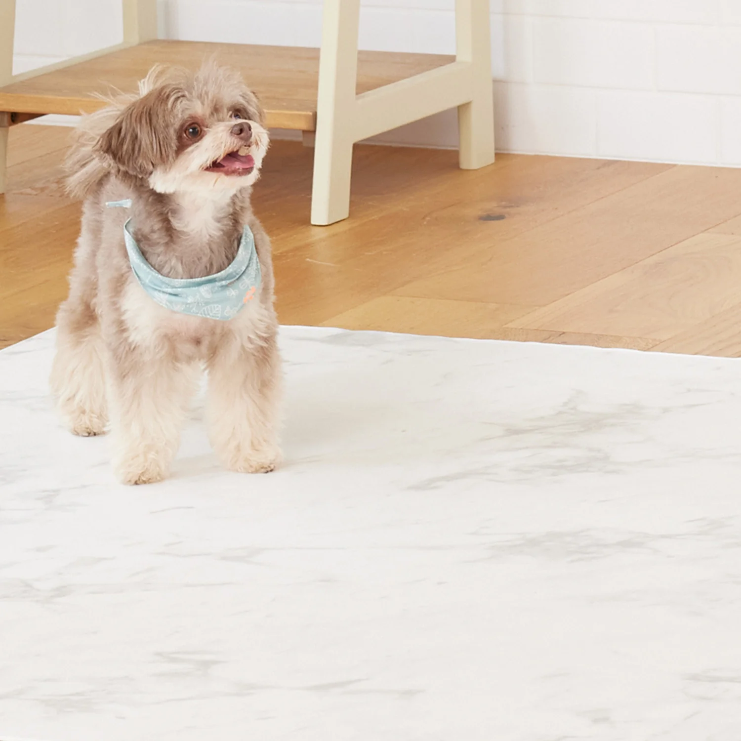 hwn0102-sf_6ddfc0b0-9609-4d93-87c7-2ce6397371de